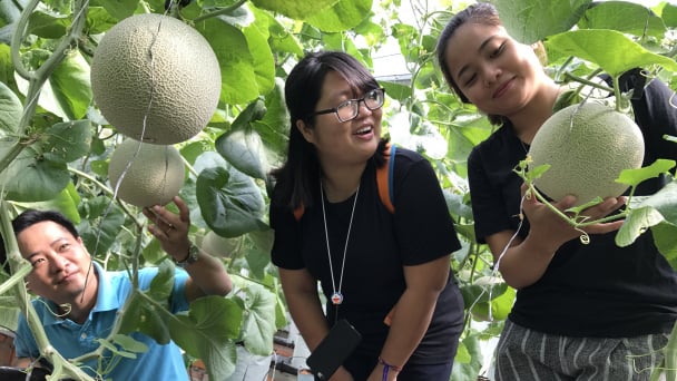 Thực thi tiêu chuẩn là 'bó' hay 'mở'?