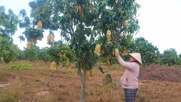 Đổi thay ở xã bãi ngang Tân Thắng