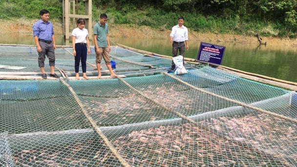 Tận dụng nguồn nước tự nhiên phát triển thủy sản chất lượng