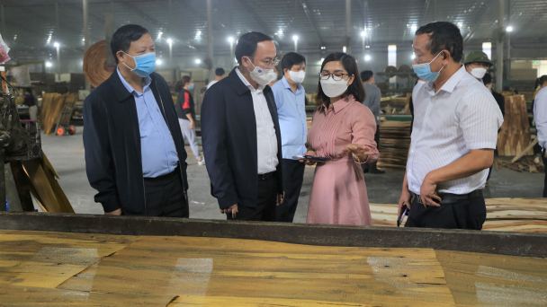Bắc Kạn: Đưa chế biến gỗ thành ngành công nghiệp chủ lực
