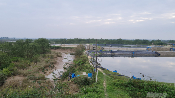 Loạn thông tin Dự án Khu đô thị và nhà ở xã hội tại Hưng Hòa
