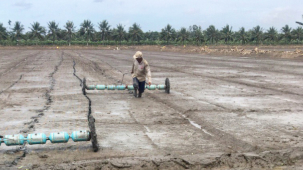Thổi làn gió mới trên cánh đồng mơ ước