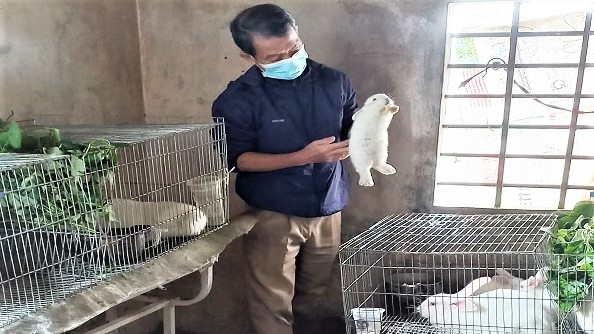 Nuôi thỏ sinh sản, hướng sinh kế tốt cho bà con