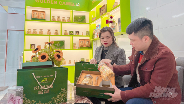 Nữ doanh nhân ngành xây dựng 'kết duyên' với trà hoa vàng