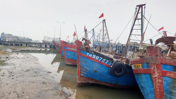 Cảng cá thiếu kinh phí cải tạo nên phải đề xuất cho doanh nghiệp thuê