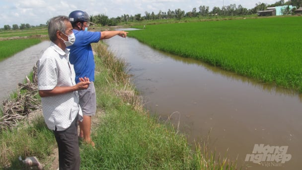 Tôm - lúa hóa giải thách thức biến đổi khí hậu