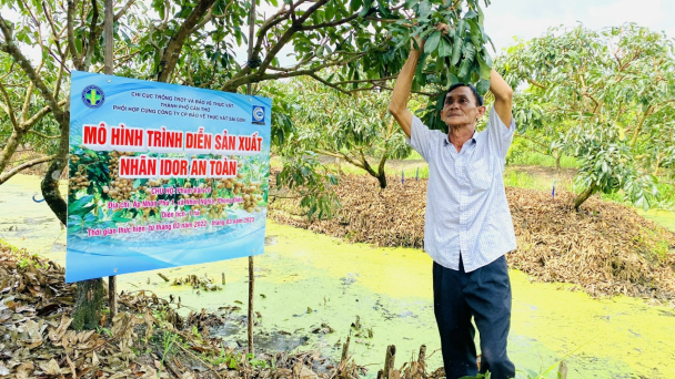 'Ba nhà' quyết tâm làm sinh học cho cây nhãn Ido