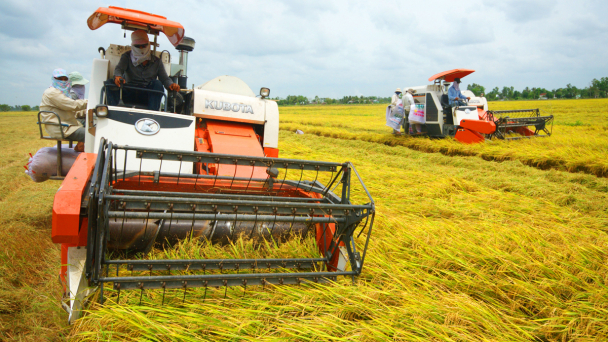 Tập đoàn Tân Long với mục tiêu 1 triệu tấn gạo chất lượng cao