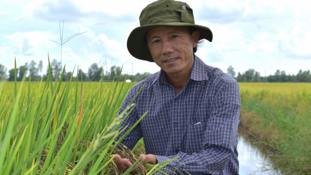 'Anh Ca lúa tím' với giải Nhất cuộc thi Chuyển đổi nông nghiệp bền vững