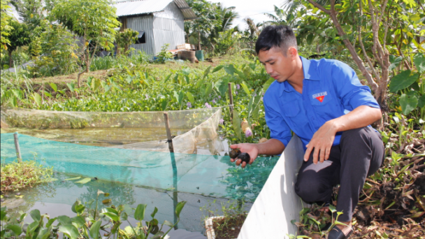 Chàng trai khởi nghiệp với ốc nhồi