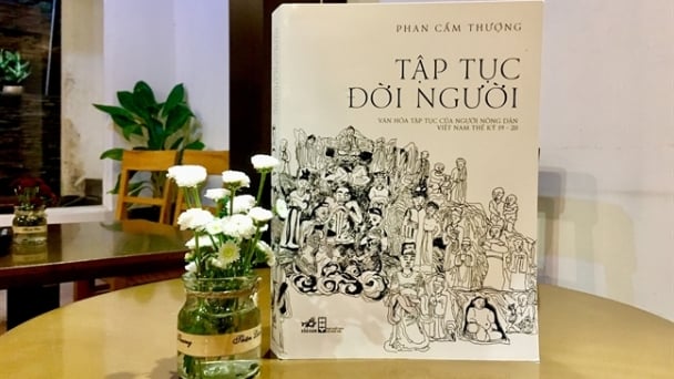 'Tao khang' trong 'nghĩa tao khang' là gì?