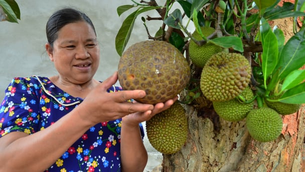 Cây mít na của vợ một người câm