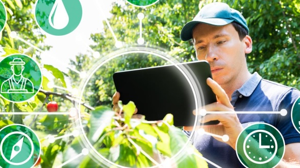 Strategies for Vietnam agriculture to assume the lead
