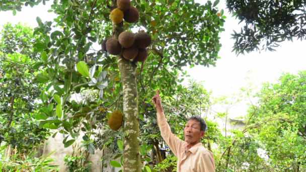 Tin tức báo in số 112, ra ngày hôm nay 7/6/2022