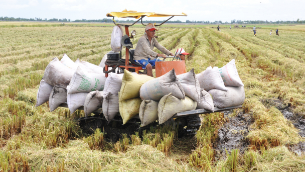 Mekong Delta - Obstacles in production: Creating linkage is difficult, but from where?
