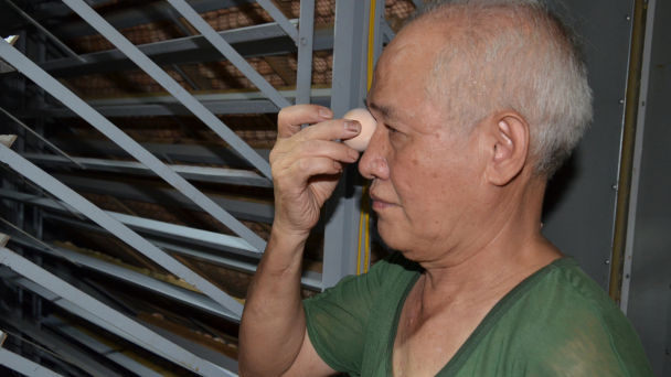 Em sống được là do bác đấy