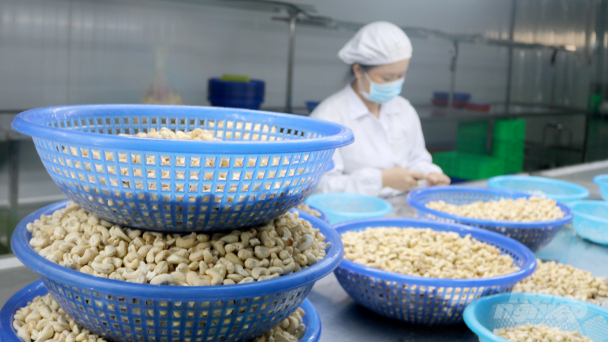 Nhiều nông sản chủ lực bị ảnh hưởng bởi lạm phát toàn cầu