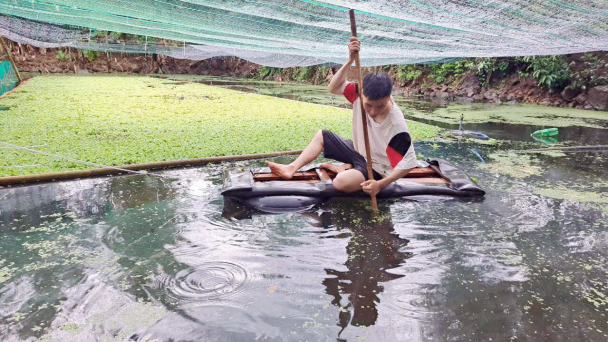 Nuôi ốc nhồi có thực sự dễ dàng 'hốt bạc'?
