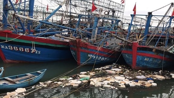 Đi biển gặp rác dễ hơn gặp cá