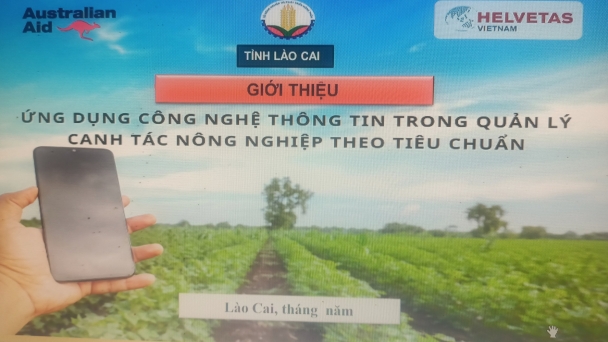 Lào Cai: 50% doanh nghiệp, HTX ứng dụng công nghệ số