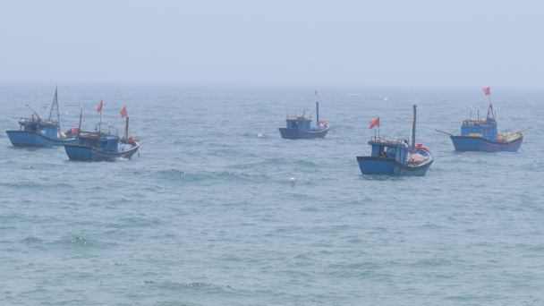 Biển cạn cá tôm