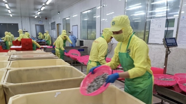 Cà Mau tự tin năm thứ 3 liên tiếp xuất khẩu thủy sản vượt tỷ USD
