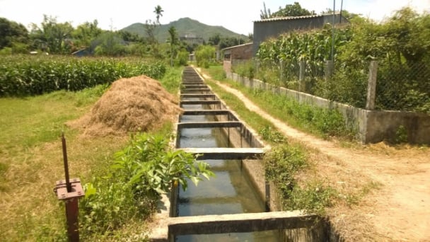 Bài 1: Muôn kiểu vi phạm công trình thủy lợi
