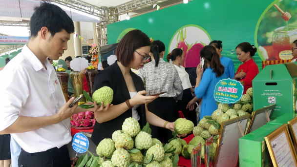 Thái Nguyên kết nối tiêu thụ cho trên 5.000 tấn na