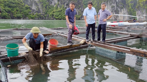 Nơi làm ra 'kết quả thật, giá trị thật' về giống hải sản