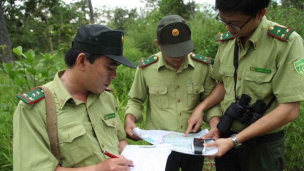 Gian nan tuyển sinh ngành kiểm lâm