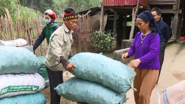 Doanh nghiệp chiếm dụng vốn nông dân mất niềm tin