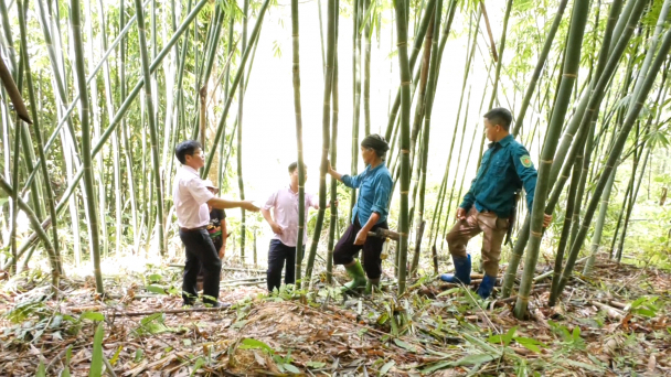 Vốn vay chính sách làm 'bà đỡ' giúp nông dân làm giàu