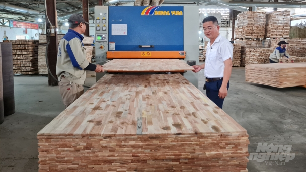 'Cánh chim đầu đàn' của lâm nghiệp xứ Nghệ