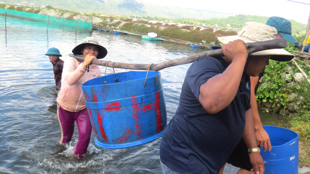 Những phụ nữ 'đa năng', quán xuyến nghề biển