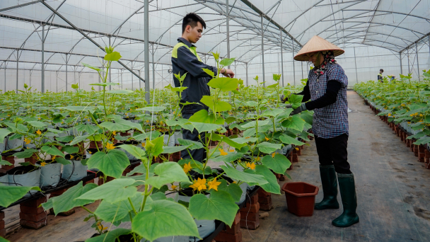 Sản phẩm hữu cơ phải bán được 'giá hữu cơ'