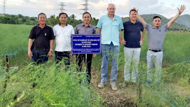 Tìm giống 'vua rau' cho khu vực Nam Trung bộ