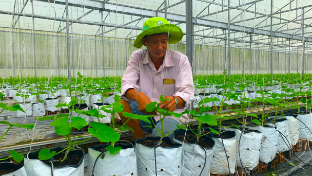 Những ngôi nhà mái Thái trên vùng phèn, mặn Hậu Giang
