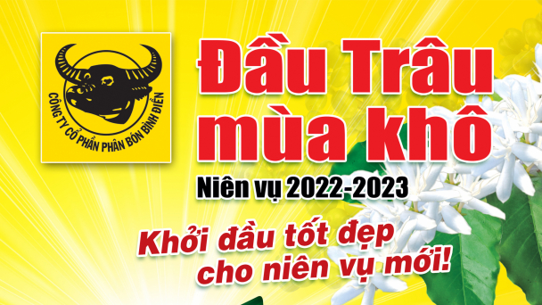 Giá vật tư tăng cao, người trồng cà phê có lời không?