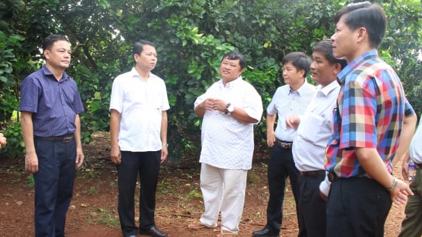 Hợp tác xã gắn kết đồng bào sản xuất, làm giàu