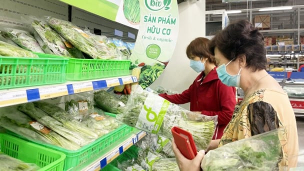 Thị trường rộng mở cho sản phẩm hữu cơ
