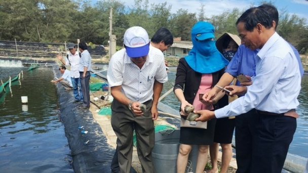 Đưa Nam Trung bộ thành 'thủ phủ hải sâm'