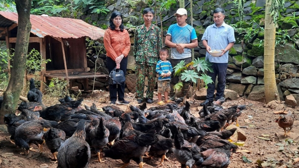 Đồng bào vùng biên thoát nghèo nhờ nuôi gà lai chọi