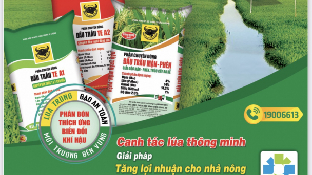 Đất lúa có bị suy thoái khi bón phân hóa học?