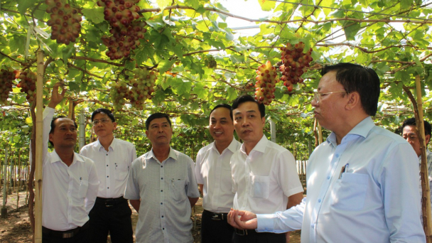 Viện Nha Hố đóng góp hiệu quả cao vào sản xuất vùng khô hạn