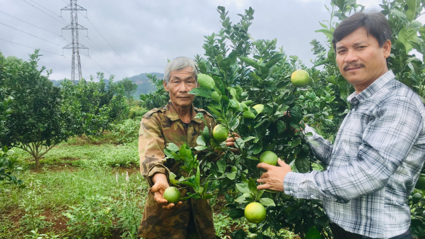 Cơ hội kiện toàn, đổi mới hoạt động khuyến nông từ tổ khuyến nông cộng đồng