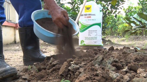Phân hữu cơ Đầu trâu Organic đa dụng - giải pháp cho nông nghiệp thông minh
