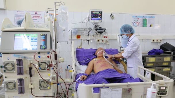 Nhiều người nhập viện do mắc liên cầu khuẩn lợn
