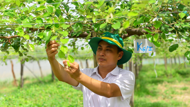Vùng khô hết khát, đột phá nhờ công nghệ cao: 1ha cho giá trị sản xuất 700 triệu đồng
