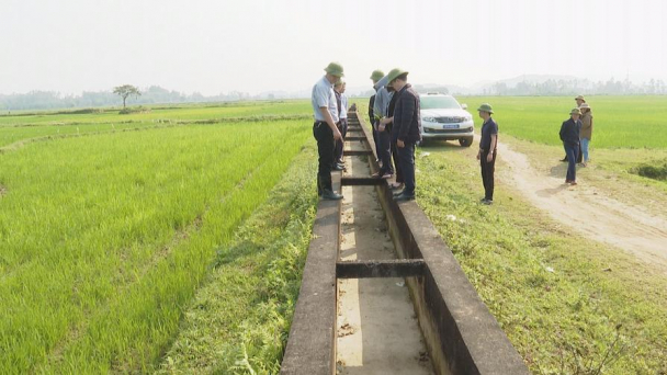 Hơn 1.200ha lúa xuân dọc sông Lam bị hạn nặng