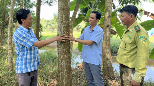 Phát triển kinh tế rừng ngập mặn bền vững